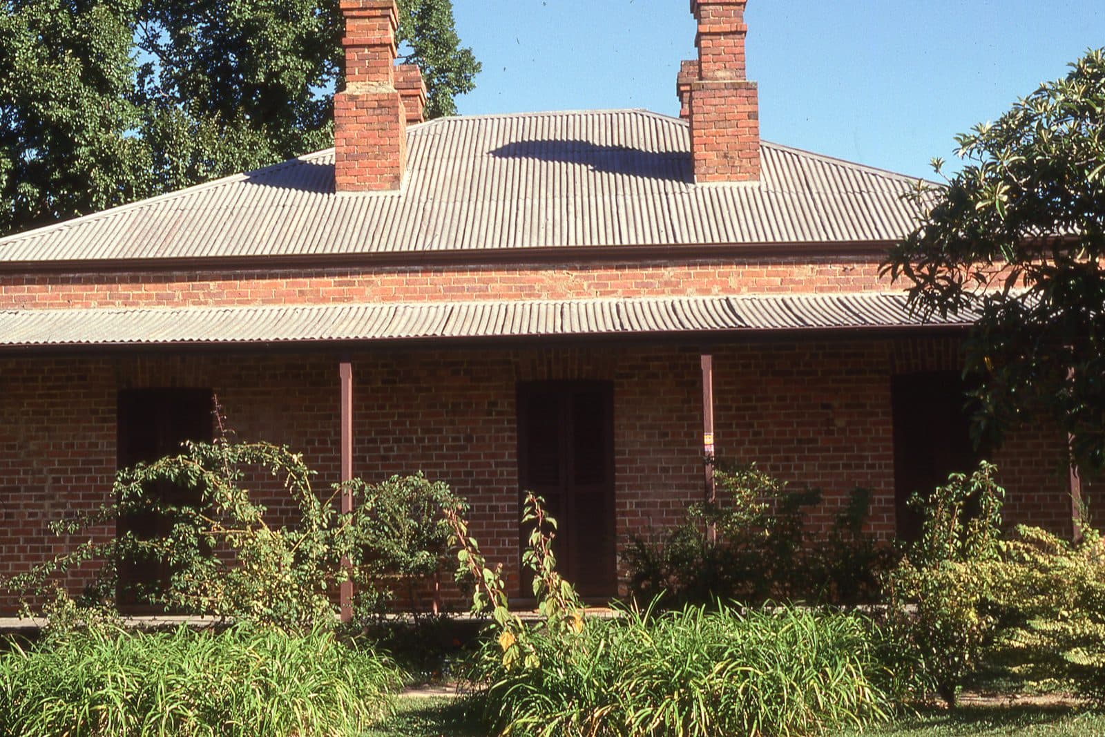 A red-brick colonial homestead with a corrugated iron hipped roof and two brick chimneys, seen through an overgrown cottage garden of roses and shrubs under a clear blue sky.